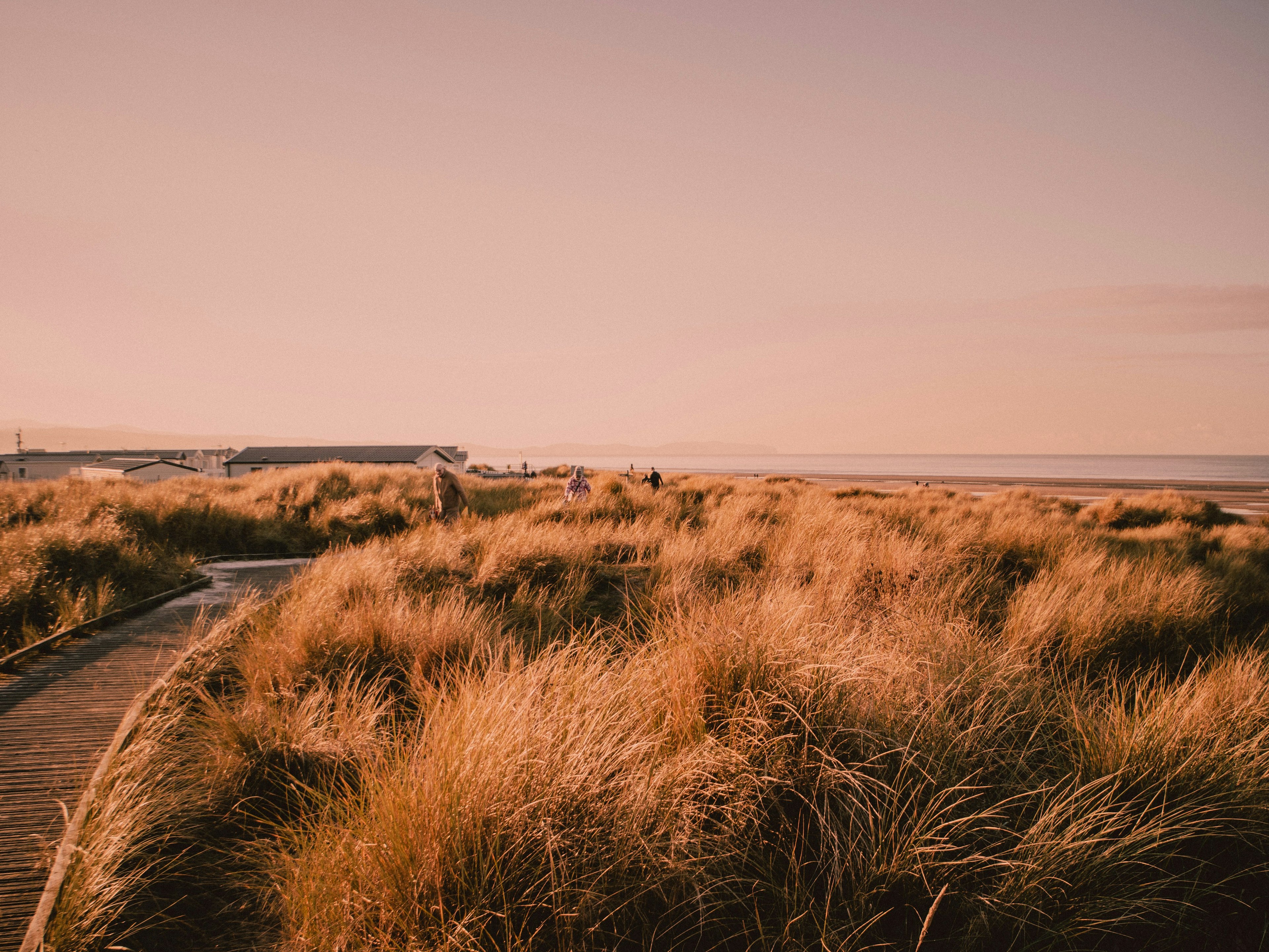 Personne dans les dunes